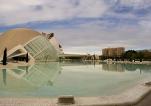 Go Local en tus vacaciones en Valencia