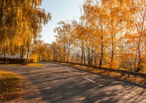 Conducir en otoño también es divertido si eliges el coche adecuado