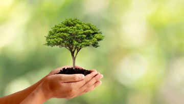 5 einfache Tipps für mehr Nachhaltigkeit im Alltag