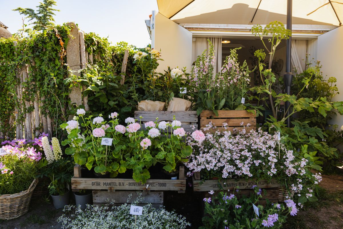 Blomster
