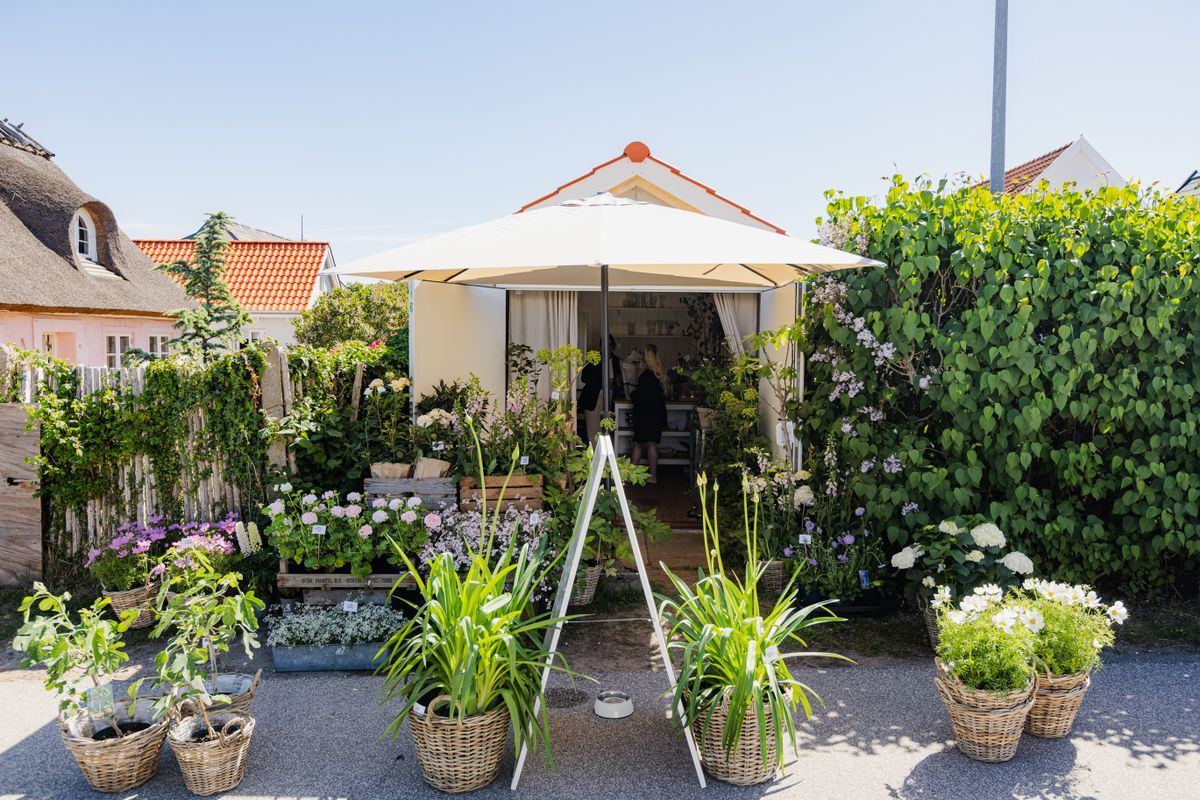 Silvas Blomster Atelier