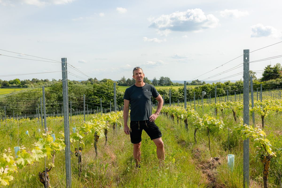 Kældermester hos Ørnberg Vin