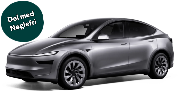 tesla-model-y-premium-awd_GoMore